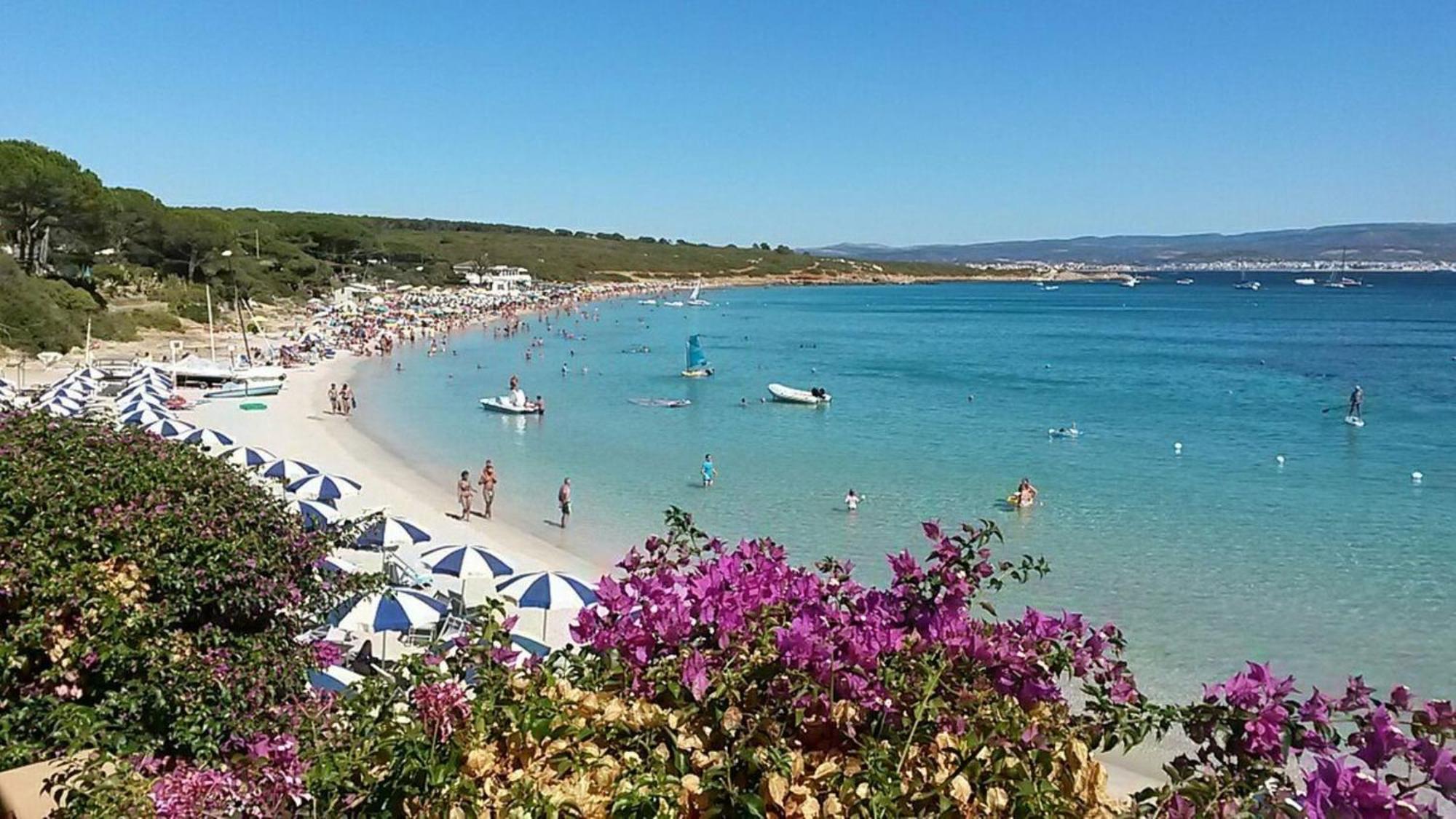 Comfortable Flat Near * Alghero